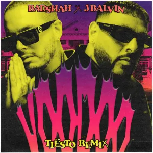 Pochette de Voodoo (Tiësto remix) de J Balvin - Tainy - Badshah