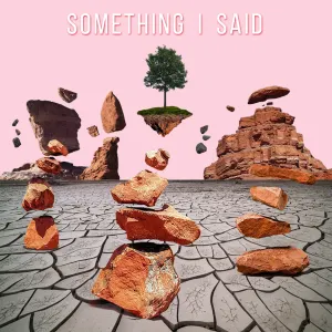 Pochette de Something I Said de Tors