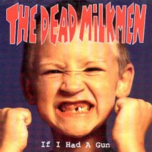 Pochette de If I Had a Gun de The Dead Milkmen