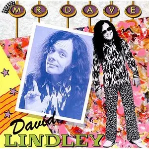 Pochette de Mr. Dave de David Lindley