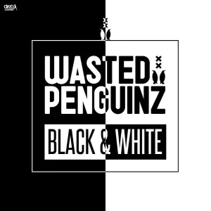 Pochette de Black & White de Wasted Penguinz