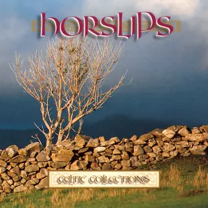 Pochette de Celtic Collections de Horslips
