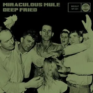 Pochette de Deep Fried de Miraculous Mule