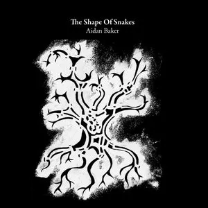 Pochette de The Shape of Snakes de Aidan Baker