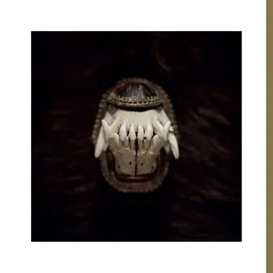 Pochette de De Toorn (Talisman) de Amenra