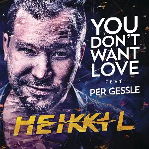 Pochette de You Don’t Want Love de Per Gessle