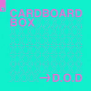 Pochette de Cardboard Box de D.O.D
