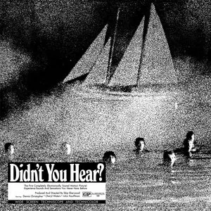 Pochette de Didn’t You Hear? de Mort Garson