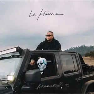 Pochette de La Haine de Luciano