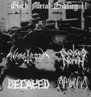 Pochette de Black Metal Endsieg II de Decayed