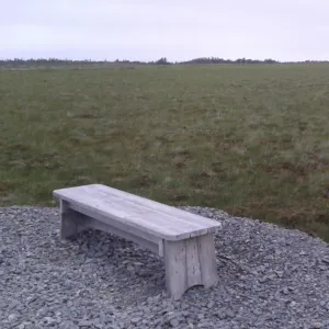 Pochette de Impermanence de Omnis