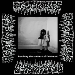 Pochette de Bombing the Shelters of Delémont de Agathocles