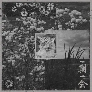 Pochette de 一期一会 de Torturing Nurse