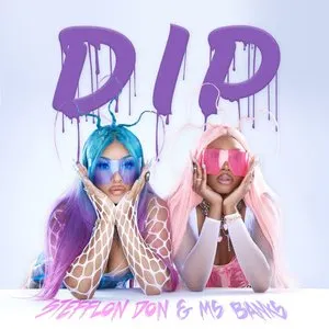 Pochette de Dip de Stefflon Don