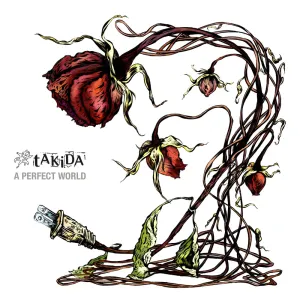 Pochette de A Perfect World de tAKiDA