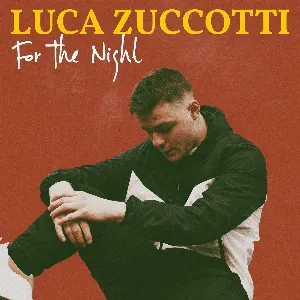 Pochette de For the Night de Luca Zuccotti