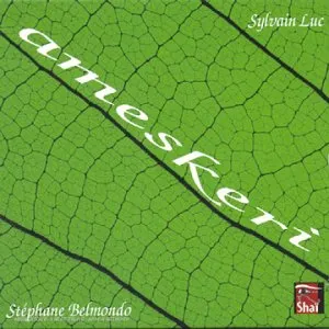 Pochette de Ameskeri de Sylvain Luc