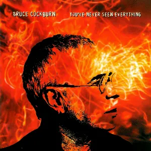 Pochette de You’ve Never Seen Everything de Bruce Cockburn