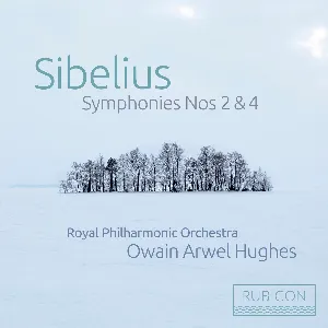 Pochette de Sibelius: Symphony no. 2 in D Major, Op. 43; Symphony no. 4 in A Minor, Op. 63 de Royal Philharmonic Orchestra - Owain Arwel Hughes - Jean Sibelius