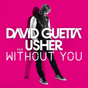 Pochette Without You