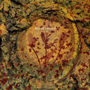 Pochette de Be Friendly Unto Me de Bull of Heaven
