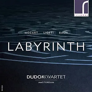 Pochette Labyrinth