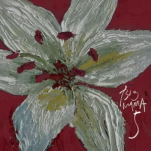 Pochette de 5 de Big Mama