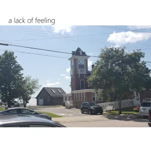 Pochette de A Lack of Feeling de Omnis