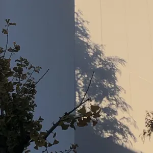 Pochette de Sankagetsu EP de Ueda Takayasu