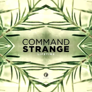 Pochette de Lifetime de Command Strange