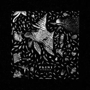 Pochette de Sunhead de Plini