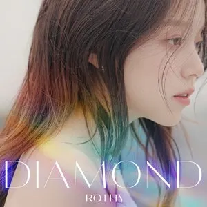 Pochette de Diamond de Rothy