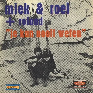 Pochette de Je kan nooit weten de Roland Van Campenhout