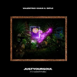 Pochette de JustYourSoul (Tchami remix) de Diplo