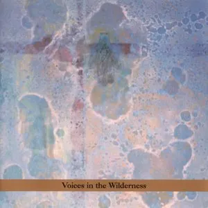Pochette de Masada Anniversary Edition, Volume 2: Voices in the Wilderness de John Zorn
