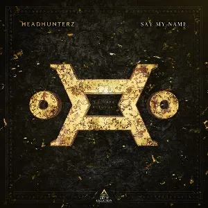 Pochette de Say My Name de Headhunterz