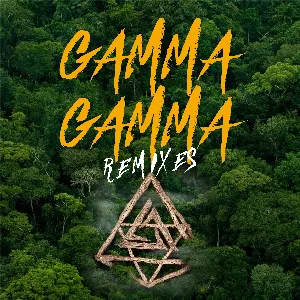 Pochette GAMMA GAMMA Remixes