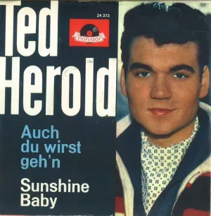 Pochette de Auch du wirst geh'n de Ted Herold
