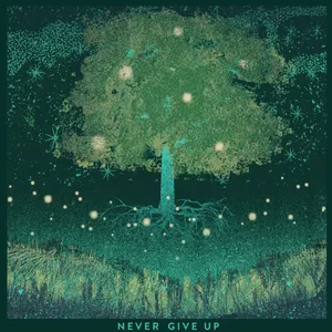 Pochette de Never Give Up de Tors