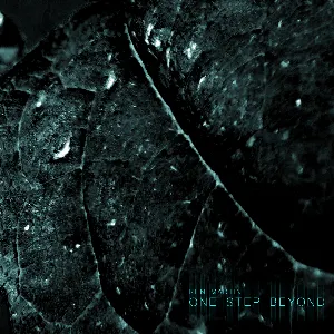 Pochette de One Step Beyond de Ken Martin