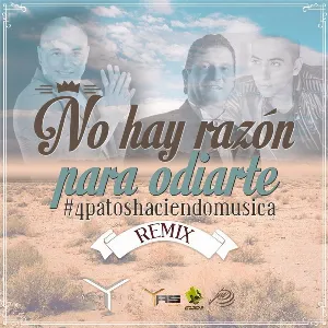Pochette de No hay razón para odiarte (remix) de Andy Rivera