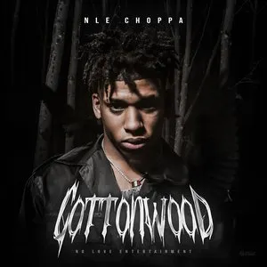 Pochette de Cottonwood de NLE Choppa