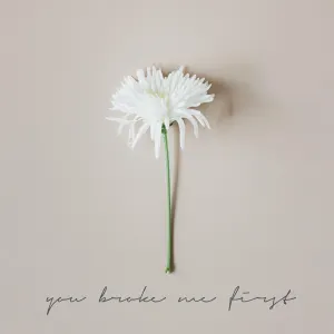 Pochette de You Broke Me First de Madilyn Bailey