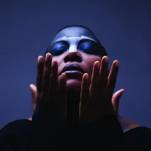 Pochette de Comet, Come to Me de Meshell Ndegeocello