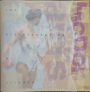 Pochette de The Disintegration of Silence de Dirk Serries