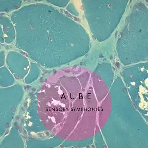 Pochette de Sensory Symphonies de Aube