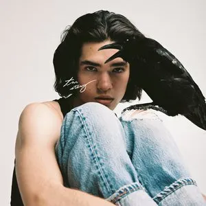 Pochette de The Story de Conan Gray