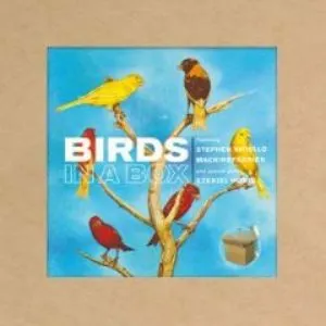 Pochette de Birds in a Box de Machinefabriek