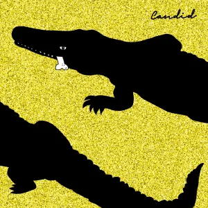 Pochette de Candid de Balu Brigada