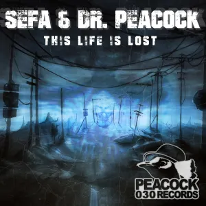 Pochette de This Life Is Lost de Dr. Peacock - Sefa